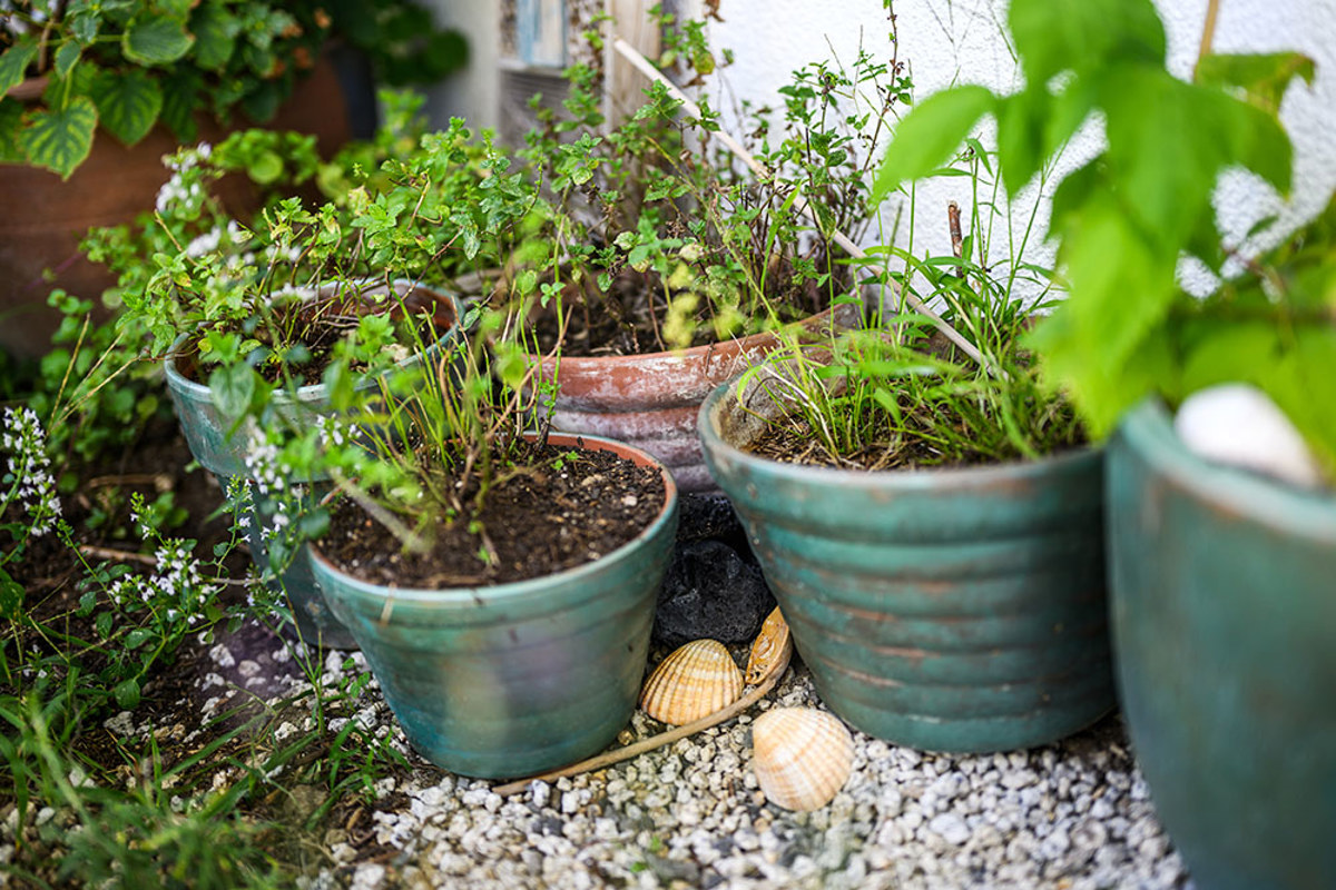 Siedlungsraum Nicolasstettler 119