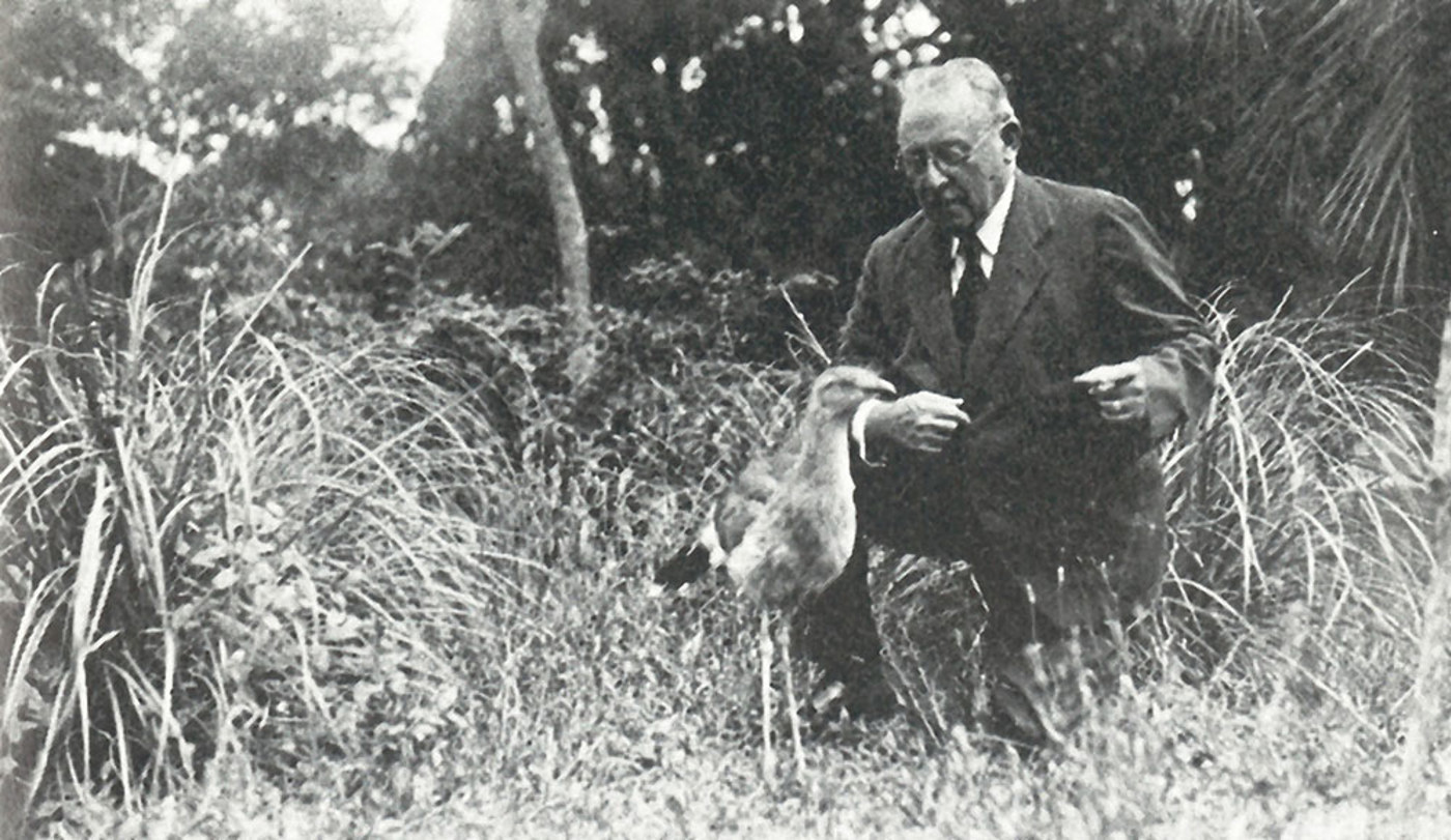 Birdlife T Gilbert Pearson ICBP President 1922 1938 No Raster