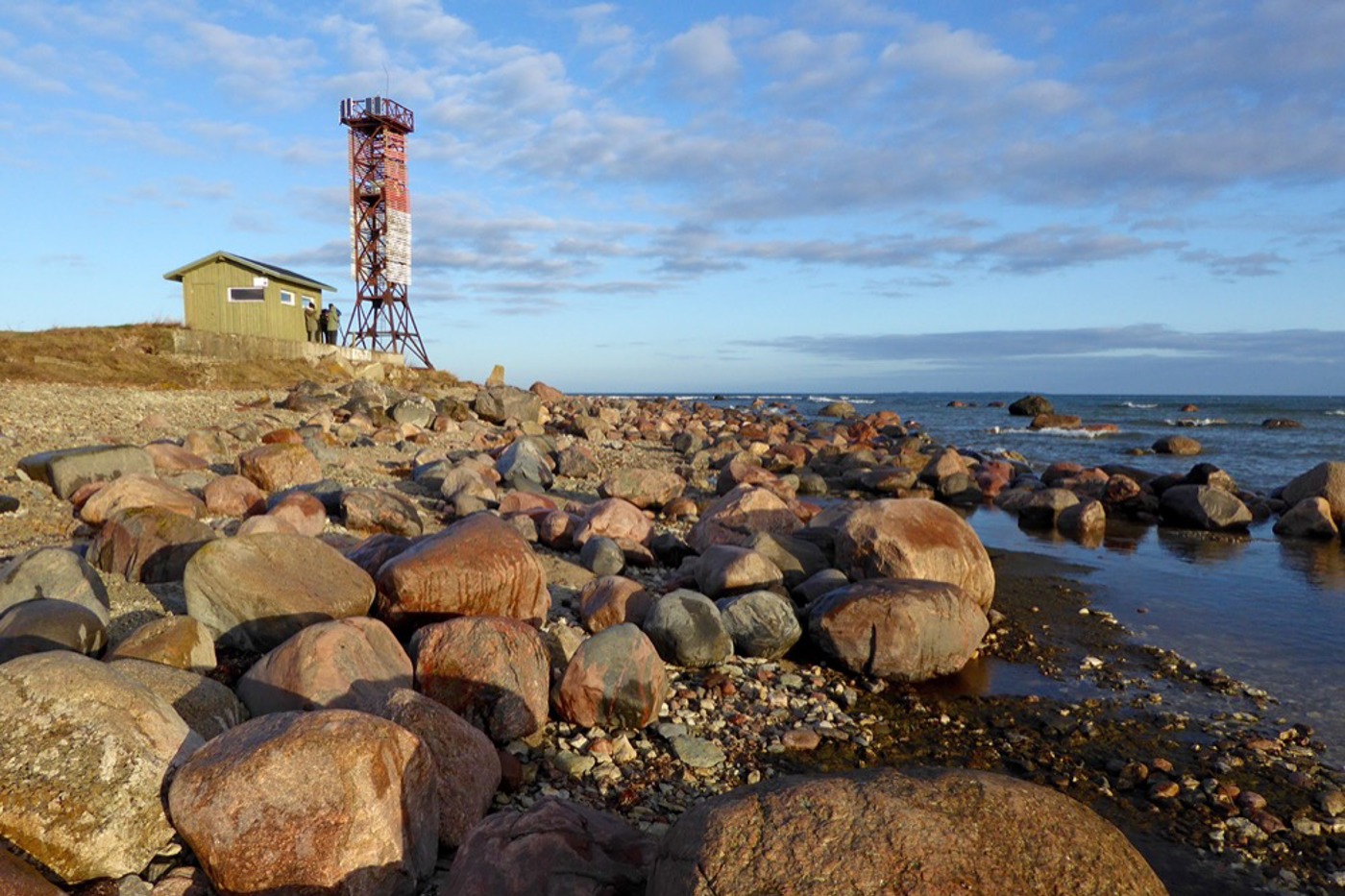 An der estnischen Küste können im Frühling hunderttausende Zugvögel beobachtet werden, so zum Beispiel am Kap Pöösaspea. © Hans Rudolf Pauli (alle)