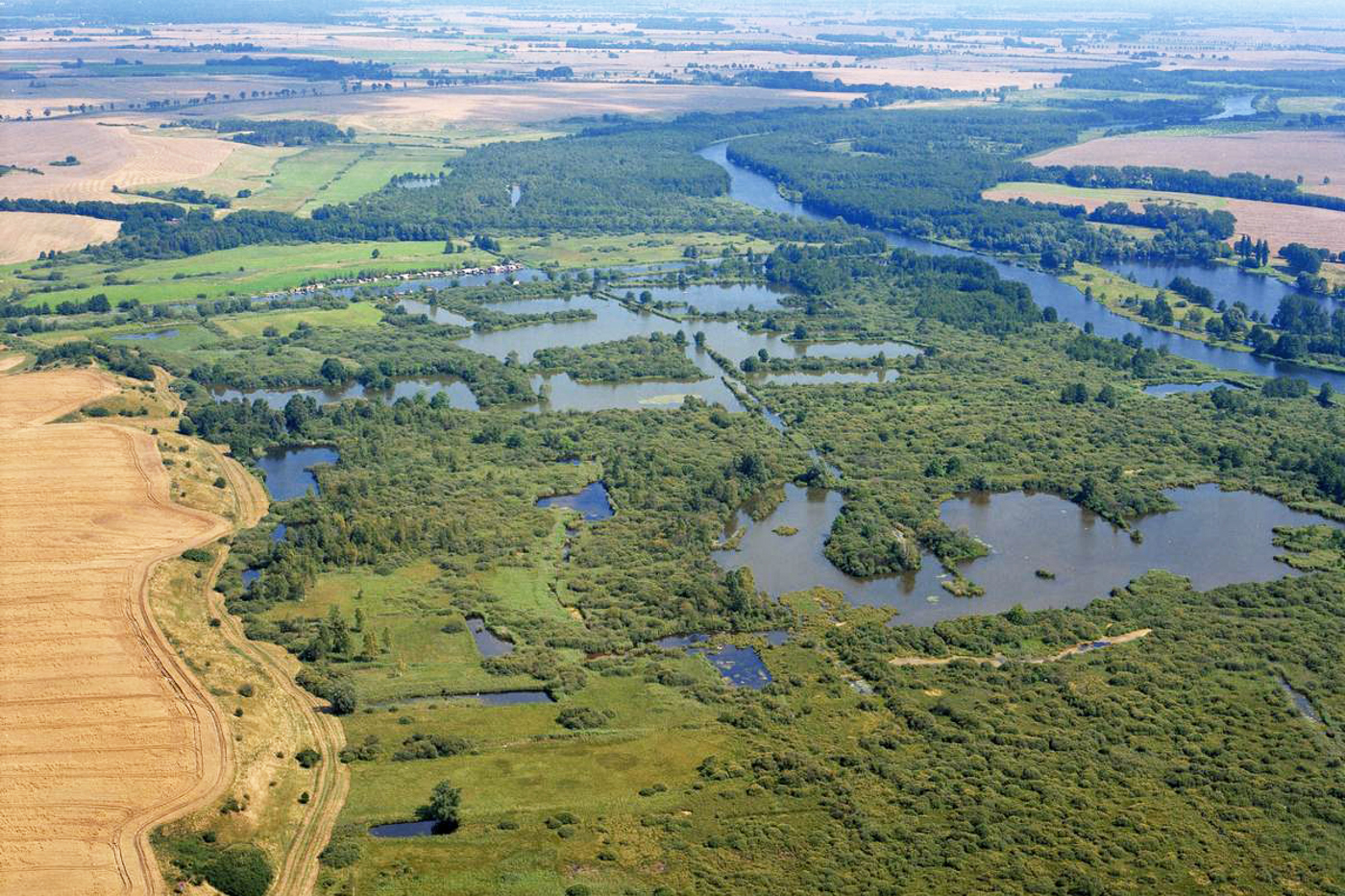 Unsere Nachbarländer machen vorwärts: grosse Auenrenaturierung im Peenetal, Mecklenburg-Vorpommern, Deutschland. © Chron-Paul/Wikimedia