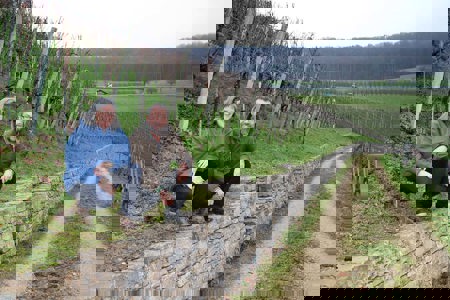 Jeder Vierte ist im Verein