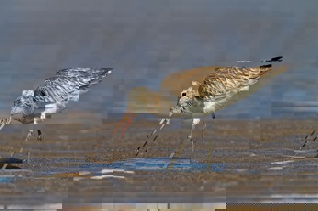 Im Wettstreit mit dem Klima