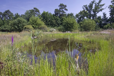 Verborgene Wunderwelt