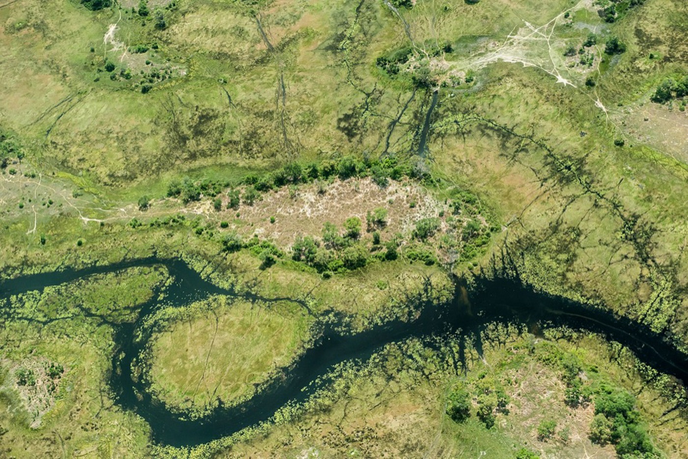 Über 18 000 Quadratkilometer erstrecken sich die Feuchtgebiete im Okavango-Delta. © Wim van den Heever/naturepl.com