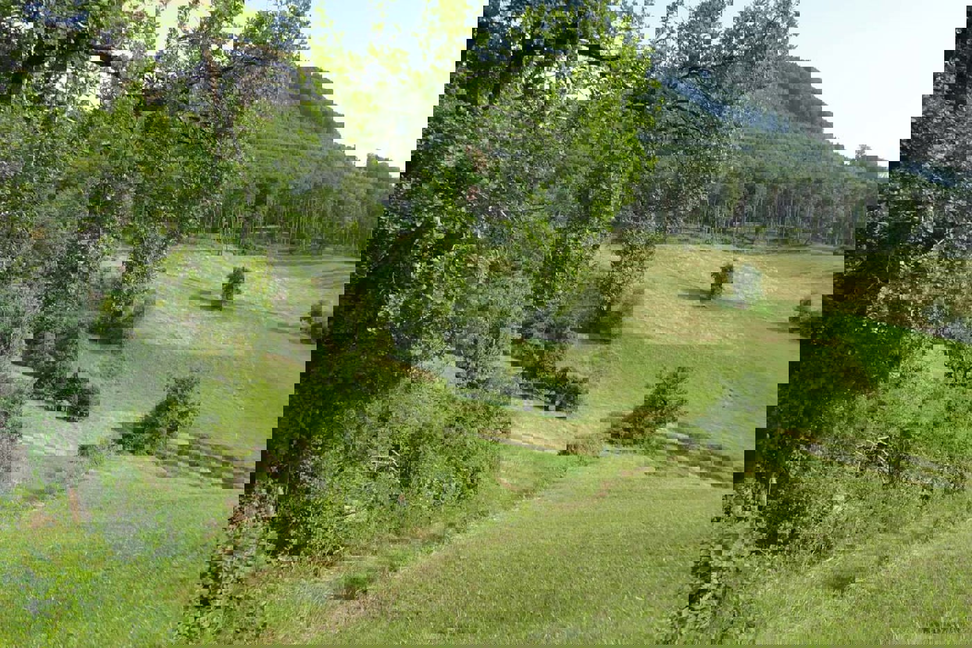 Auflichtungen des Waldrands und strukturreiches Kulturland ergeben zusammen wertvolle Übergangsbereiche. © SVS