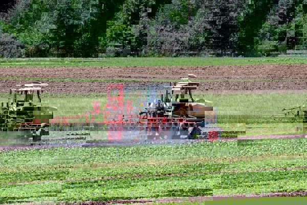 Pestizide 07 13 2010 9 MJ