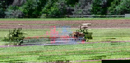 Sorgenkind Pestizide