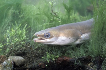 Fragile Unterwasserwelt