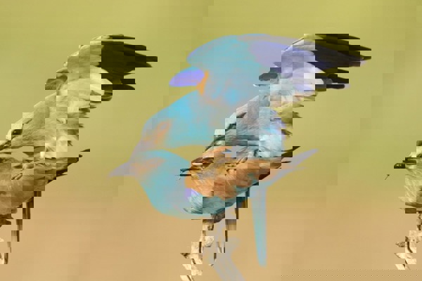 BA Aufmacher Fotofinder 03654 00113 855