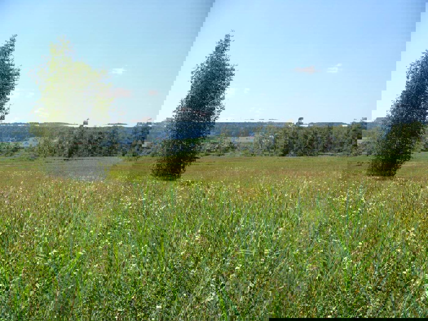 Ala Schwerzenbacherried