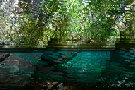 Ein Blick unter die Oberfläche