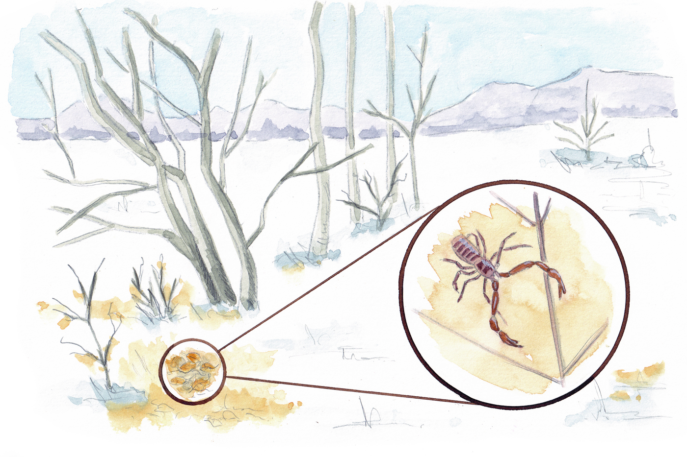 © Fabienne Bertschinger