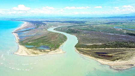 Dünen, Sümpfe, Pelikane