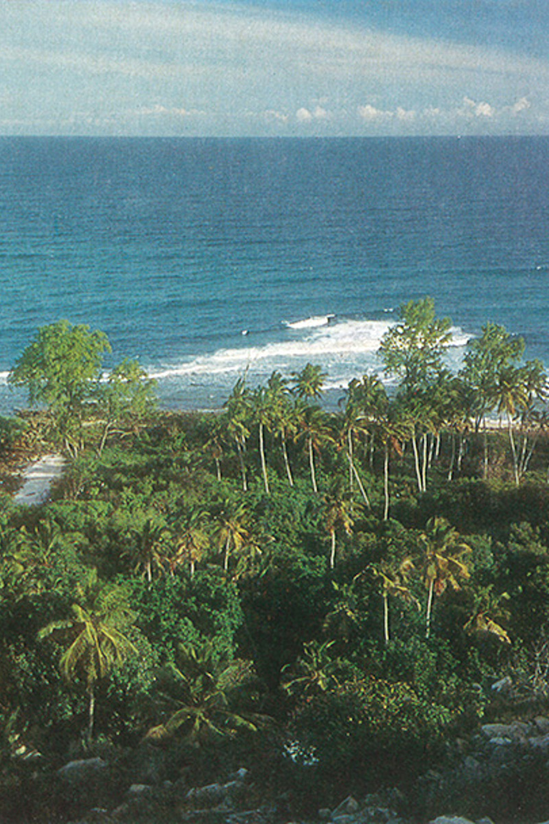 Birdlife Cousin Island Seycelles 1971 C Klaus Fiedler No Raster (1)