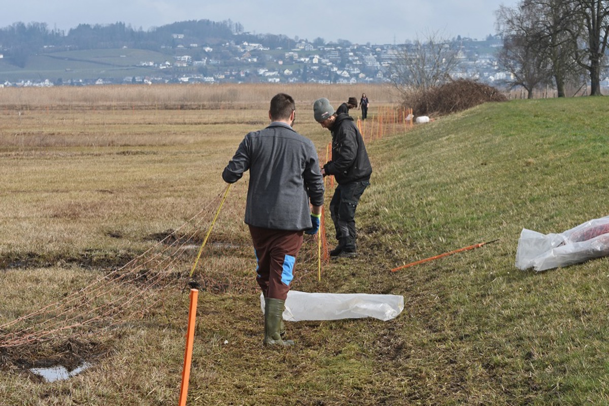 KS Zaeunen Frauenwinkel