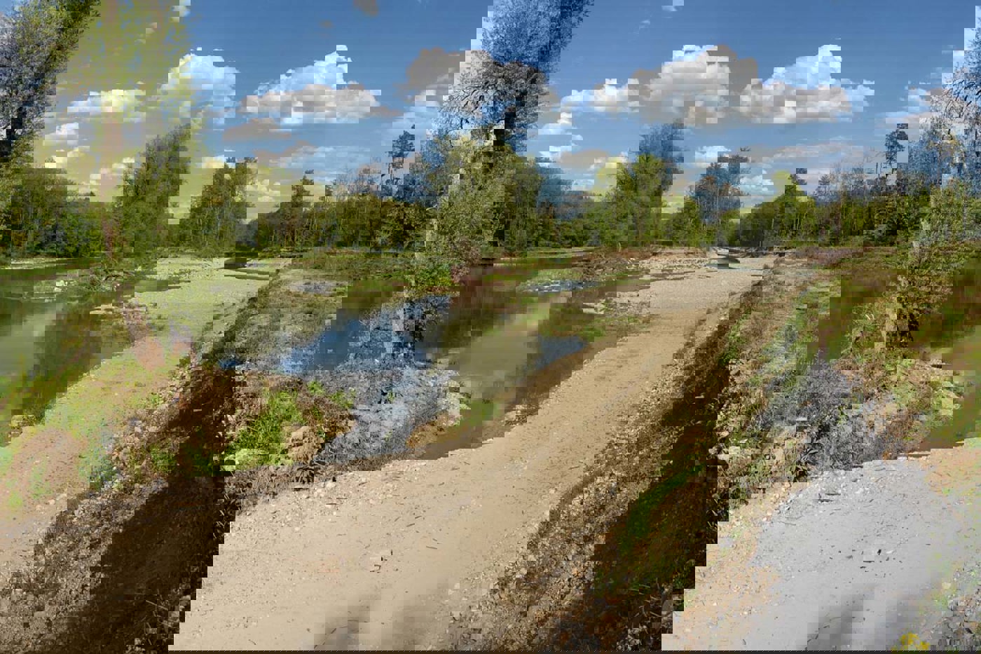 In dieser künstlich erstellten Flussaue in Rupperswil ist Dynamik wieder erwünscht. © Oekovision GmbH