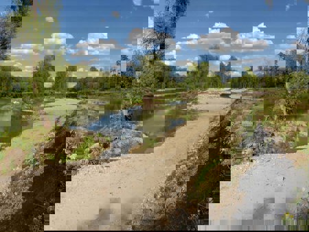 Auenschutz im Aargau