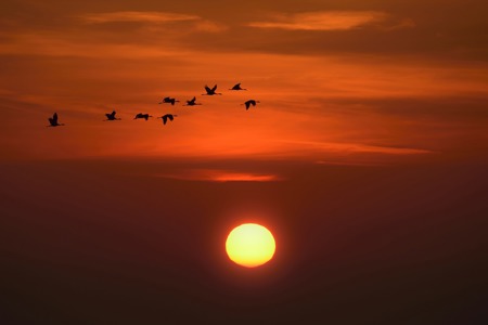 Nächtlicher Flugverkehr