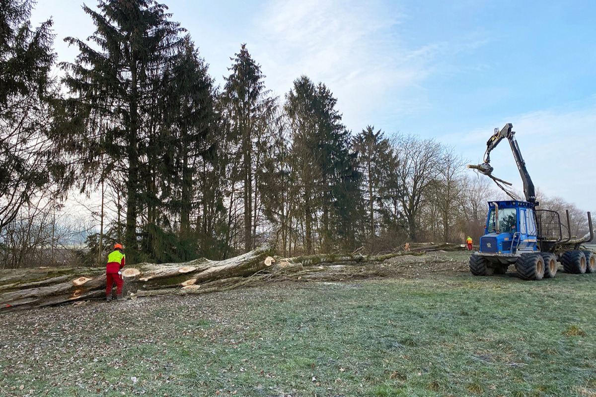 SK IMG 5286 Lucaslombardo