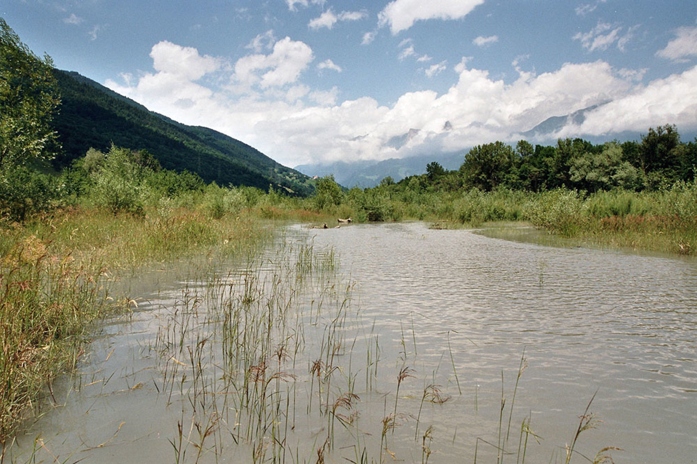 GBU Auentuempel Rheintal Bovamlippuner