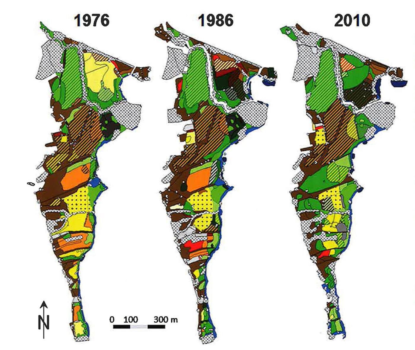 Ala4 Boniswil Vegetation (1)