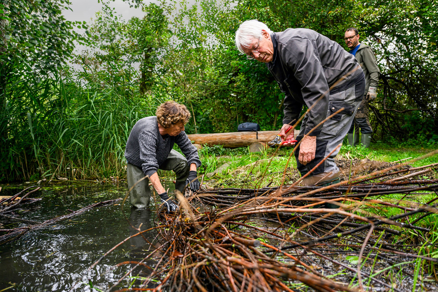 Im Höllwald bei Münchenbuchsee (BE) entstehen «Beaver Dam Analogs», also von Menschenhand nachgebaute Biberdämme. Das Vorhaben bildet den Auftakt für das neue BirdLife-Projekt «Naturjuwelen plus». © Nicolas Stettler
