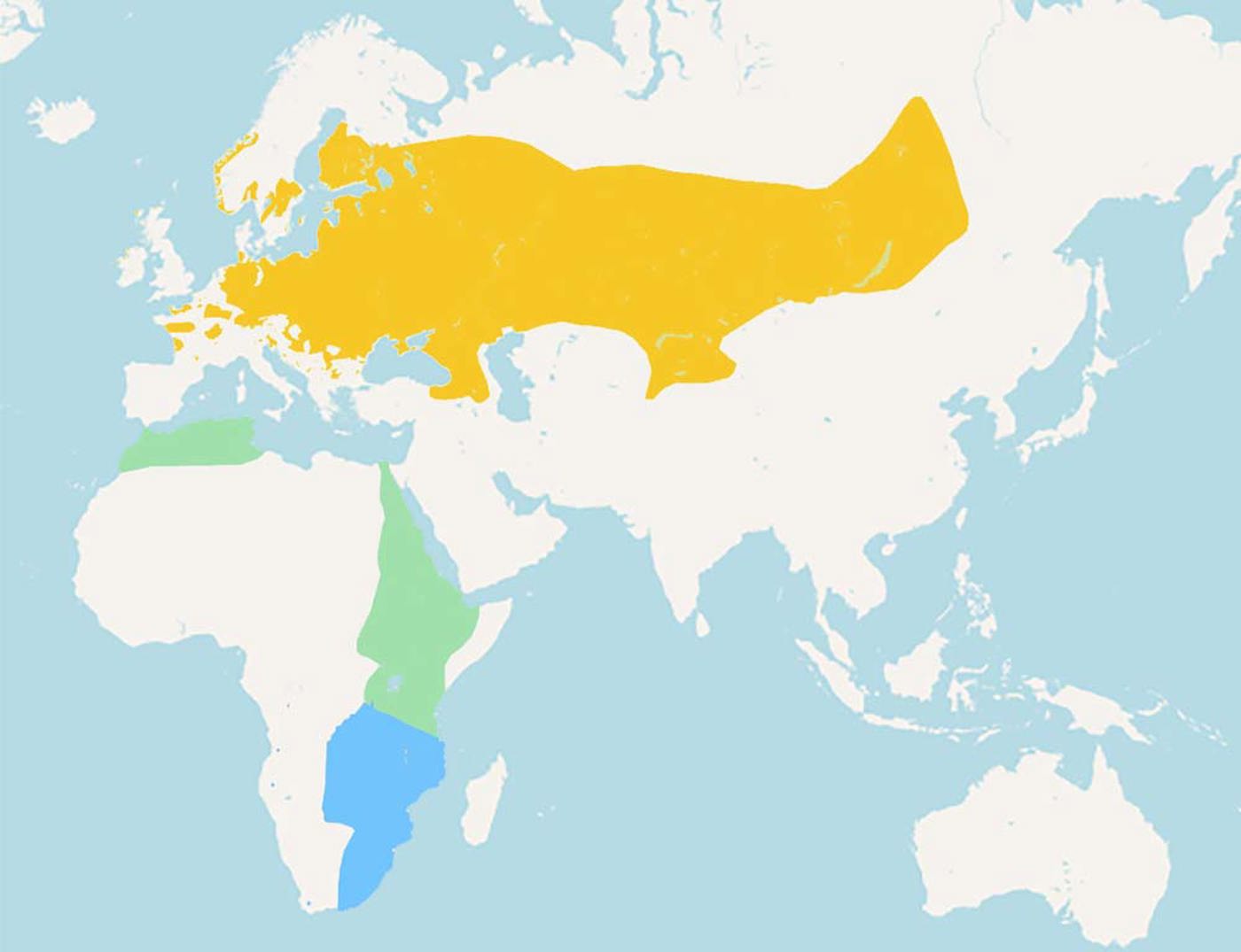 Karte Wachtelkönig