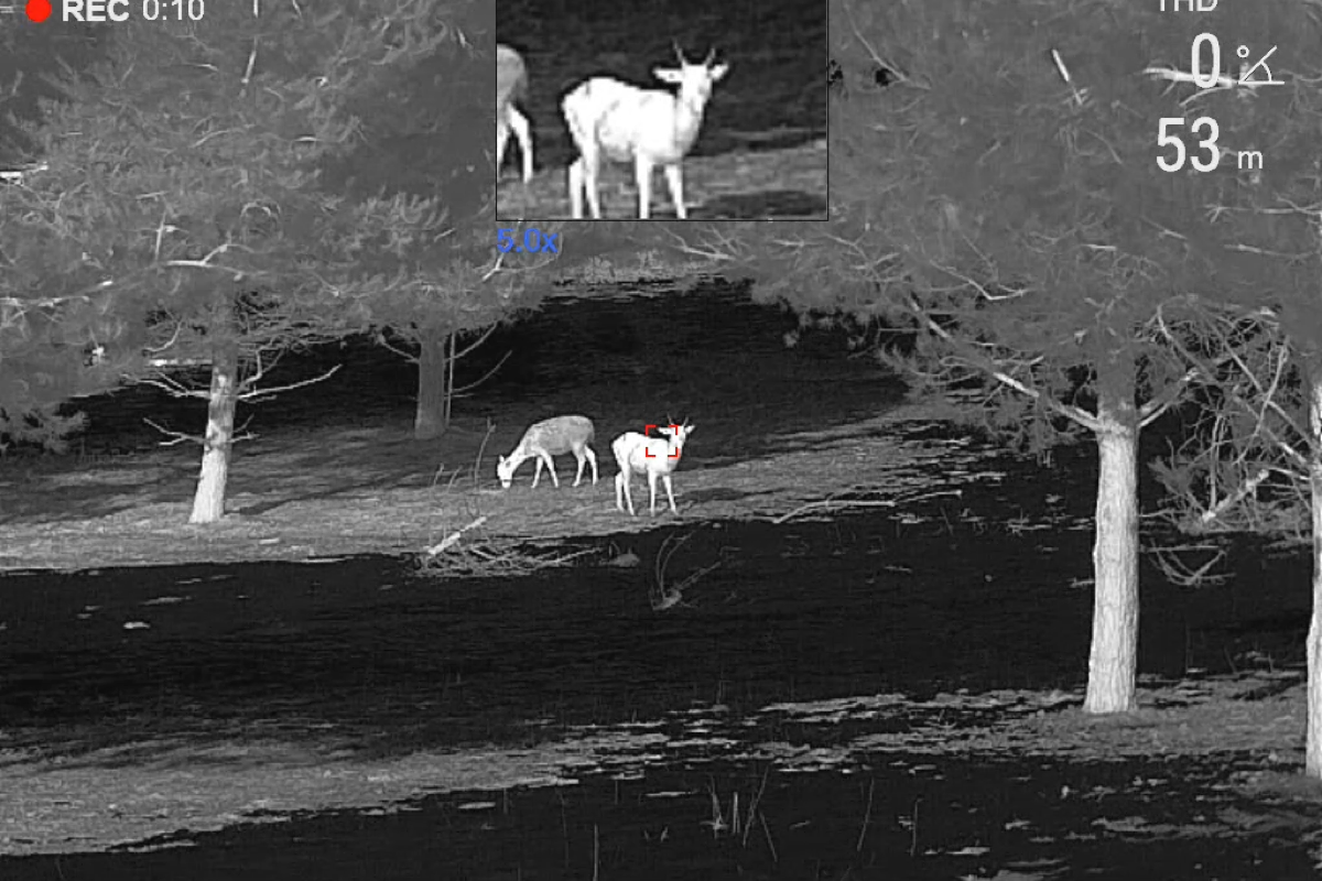 Video 020 Rangefinder 53M