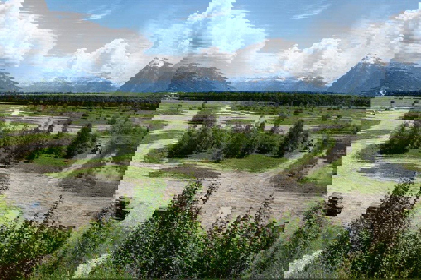 Wo Panzer fahren, entstehen für die Natur wertvolle Pionierstandorte. Das Panzerfahrgelände des Waffenplatzes Thun ist denn auch die Kinderstube vieler Kreuzkröten, Gelbbauchunken und Schwarzkehlchen. © armasuisse