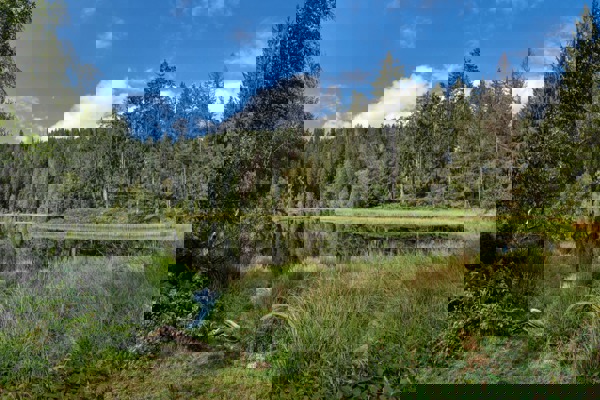 Buhlbachsee Mauritius Images 2G2ETK5(1) (1)