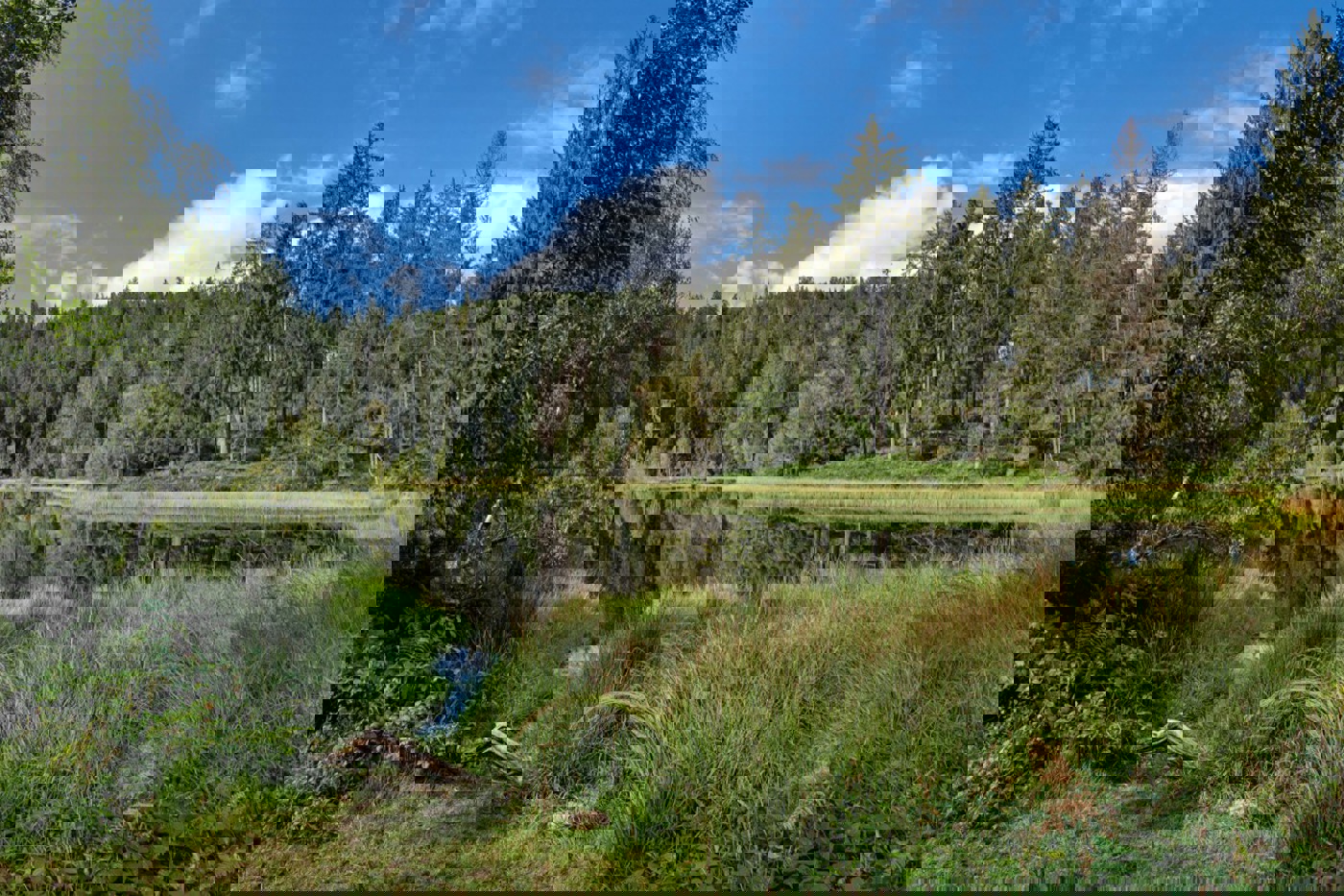 Der Buhlbachsee ist einer von mehreren Karseen im Nordschwarzwald. © mauritius images/Robert Schneider