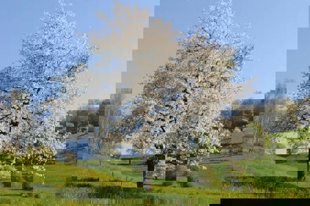 Zusammenspannen am Farnsberg