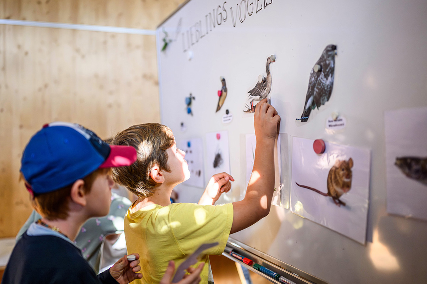 Im Rahmen des neuen Projekts befassen sich Schulklassen mit der Biodiversität und machen selber Vorschläge, wie sich diese fördern lässt. © Nicolas Stettler