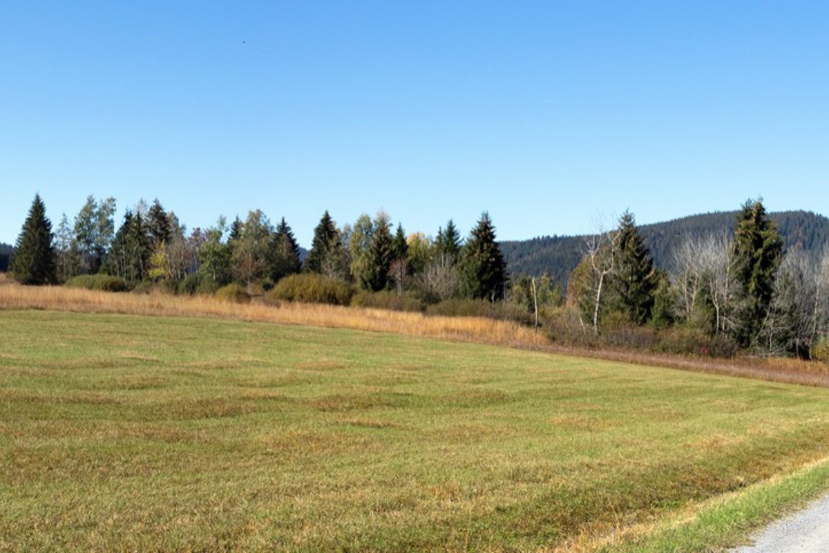 WB Schlaenggli Vorher Andy