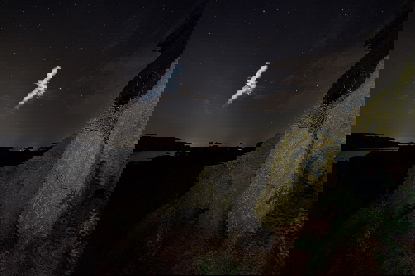 Erst spätabends fliegen die Sturmtaucher ihre Bruthöhlen an der Küste Linosas an.  © Andrea Benvenuti