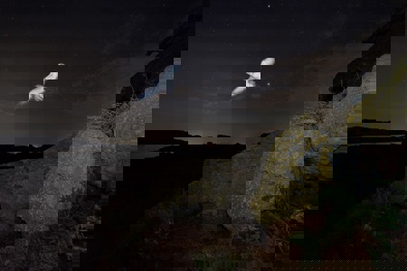 Die Röhrennasen von Linosa