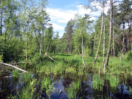 Klima- und Biodiversitätskrise gemeinsam lösen
