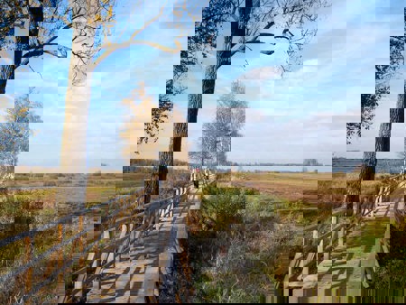 Vogelparadies Federseemoor