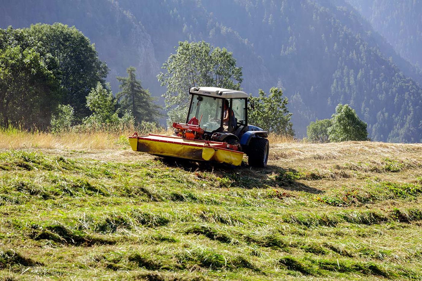 Naturschutzgelder kommen oft Landwirt/innen und anderen Akteuren im ländlichen Raum zugute, die dafür konkrete Leistungen erbringen. Hier zu kürzen wäre falsch. © M. Vacchiano