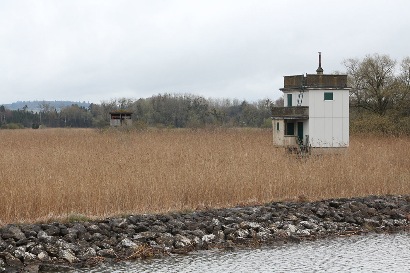 Der Beobachtungsturm von Nos Oiseaux am Fanel/Neuenburgersee ist ein wichtiger Teil der Geschichte von Nos Oiseaux. Links der neue Pavillon, der allen Besuchenden offen steht, und ganz links der Berner Turm. © SVS