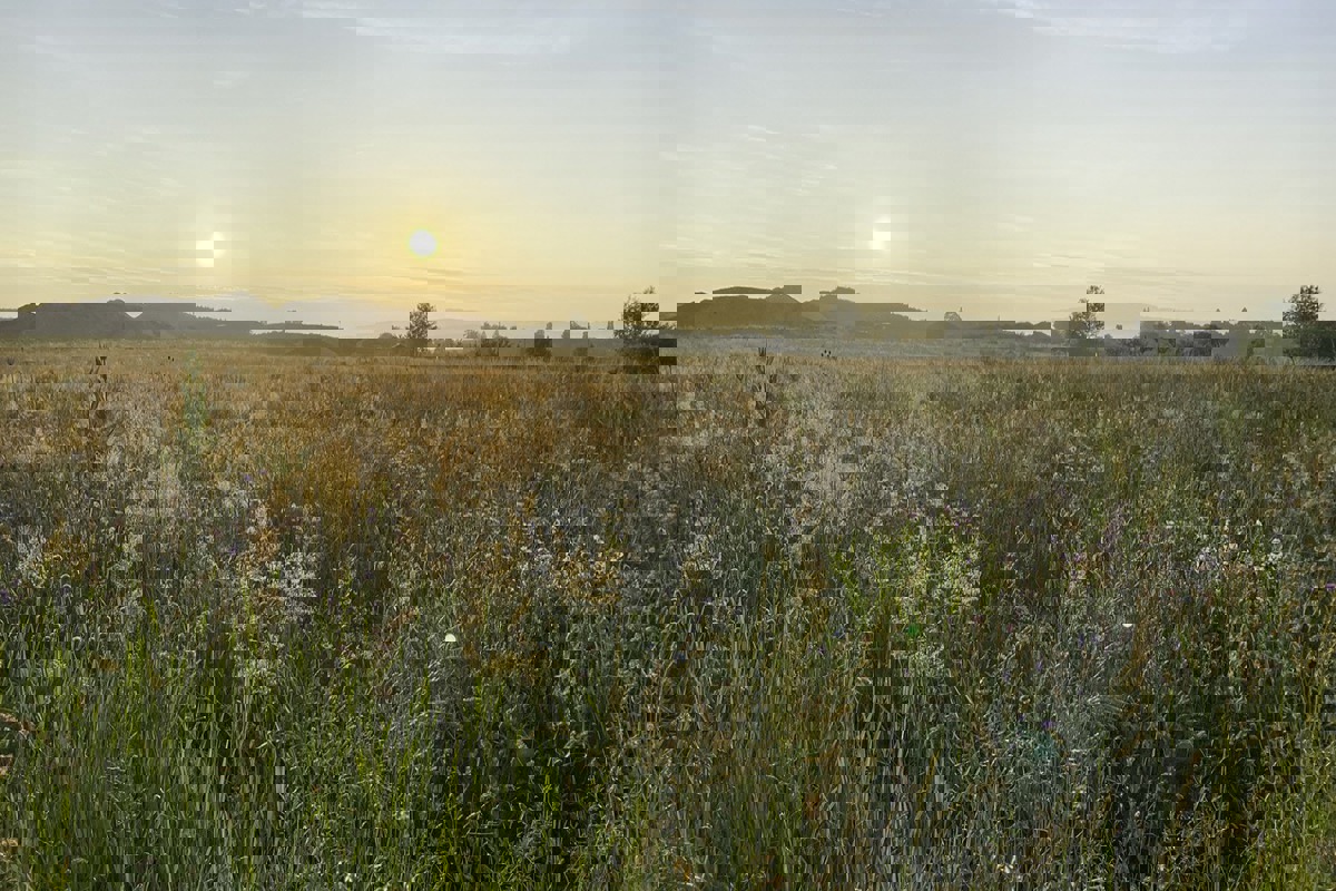 MO Juni 2021 Edit Kopie