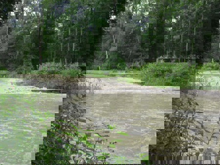 Die kontrollierte Wilde