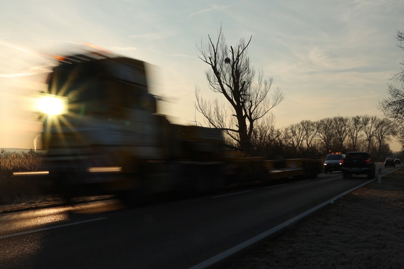 Was Menschen stört, stresst auch die Vögel. Regelmässiger Lärm – etwa durch Autoverkehr – verändert Physiologie und Verhalten der Vögel. © Stefan Greif