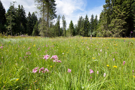 Dieser Alarm darf nicht ungehört bleiben!