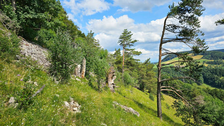 Feinschliff am Naturjuwel