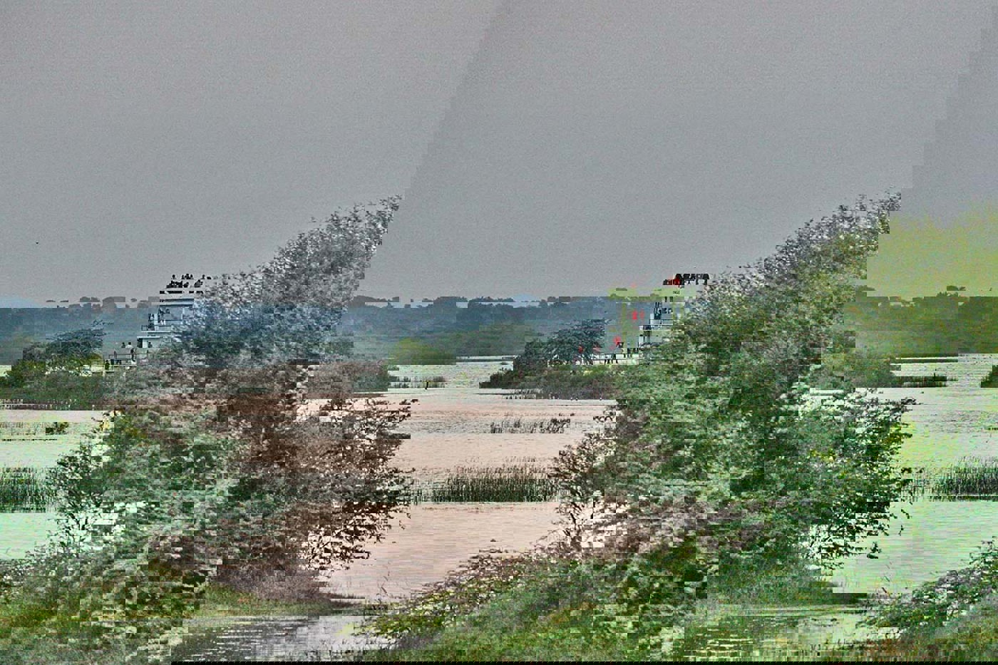 Morgenstimmung im Khijadiya Reservat bei Jamnagar. Die Türme bieten beste Möglichkeiten, Wasservögel zu beobachten. © Bruno Bruderer