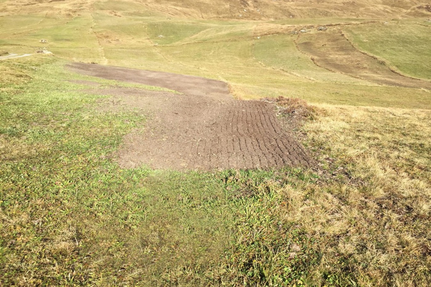 Bei der Melioration am Schamserberg wurde das Gelände eingeebnet; alle Naturstrukturen verschwanden. © Max Reutlinger