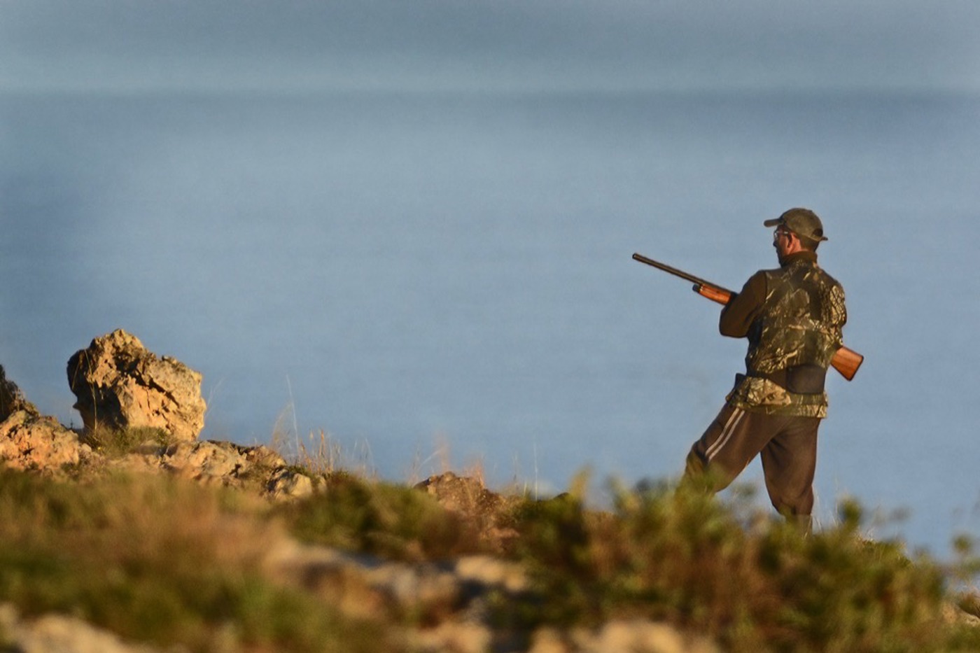 Malta: Die Zugvögel werden von tausenden Jägern und Wilderern erwartet. © David Tipling
