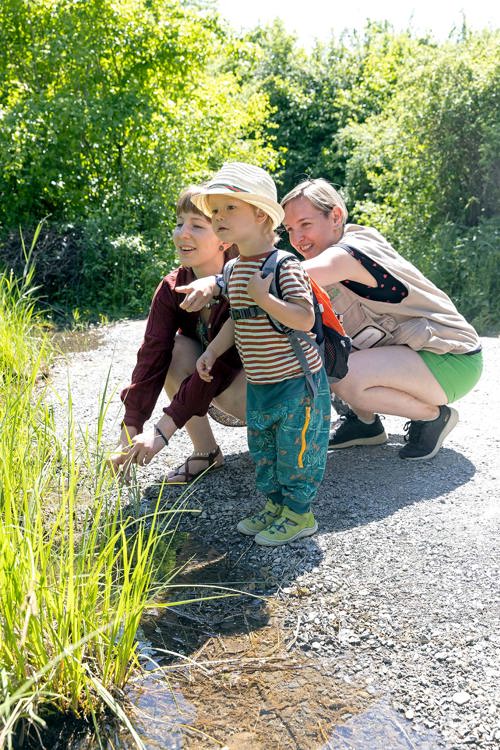 Neeracherried Naturpfad 1