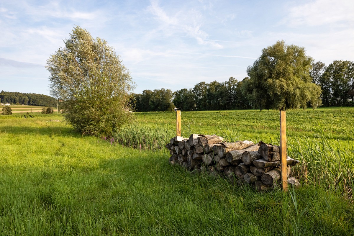 SK K8A8791 Martinschuck